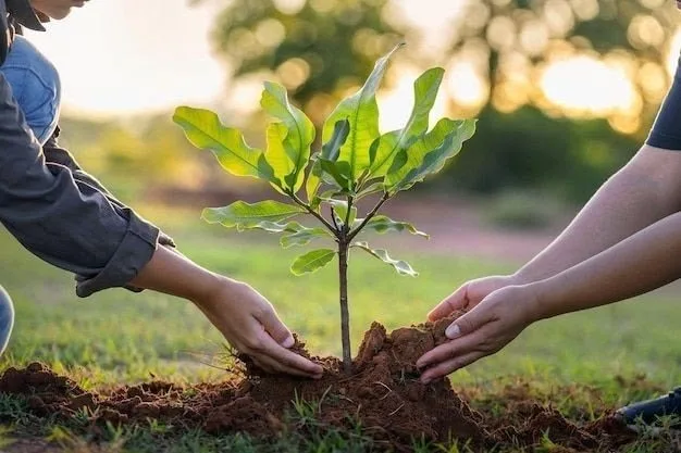 Aksi gotong royong penanaman pohon oleh relawan BumiKita
