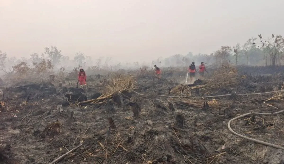 Lahan Terbakar (2026)