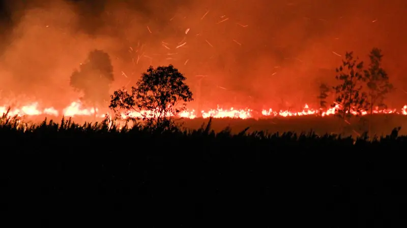 Karhutla membara di lahan gambut Kalimantan Tengah, sengaja dibakar?