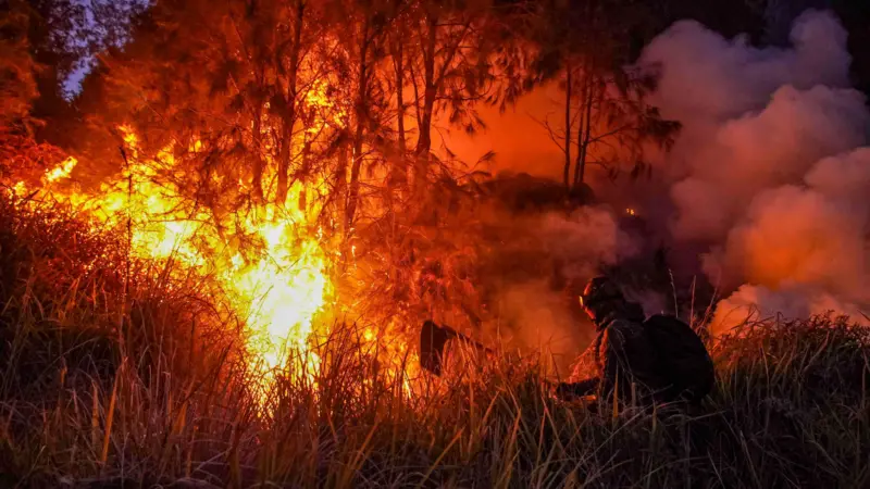 Karhutla 2026 meluas dan hanguskan ribuan hektare di tengah El Nino Godzilla – 'Tapi 90% akibat ulah manusia'